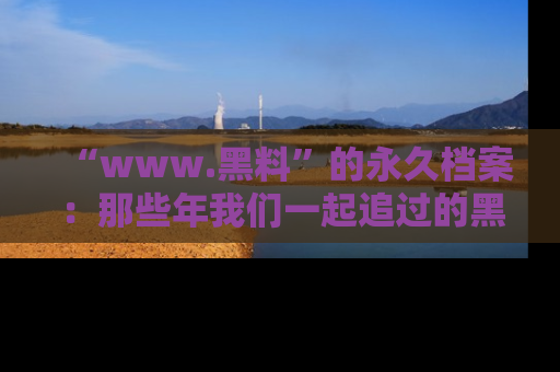 “www.黑料”的永久档案:那些年我们一起追过的黑料真相