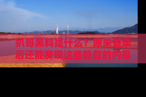 扒哥黑料是什么？原来登录后还能发现这些隐藏的内幕！