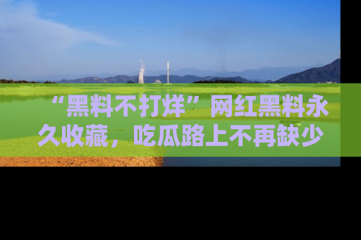 “黑料不打烊”网红黑料永久收藏,吃瓜路上不再缺少惊喜与乐趣