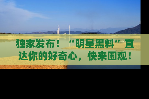 独家发布！“明星黑料”直达你的好奇心，快来围观！
