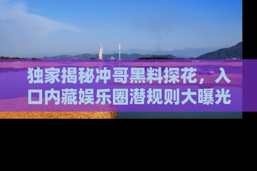 独家揭秘冲哥黑料探花，入口内藏娱乐圈潜规则大曝光