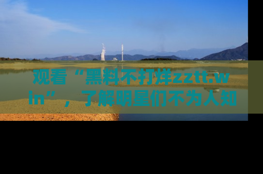 观看“黑料不打烊zztt.win”，了解明星们不为人知的黑料内幕