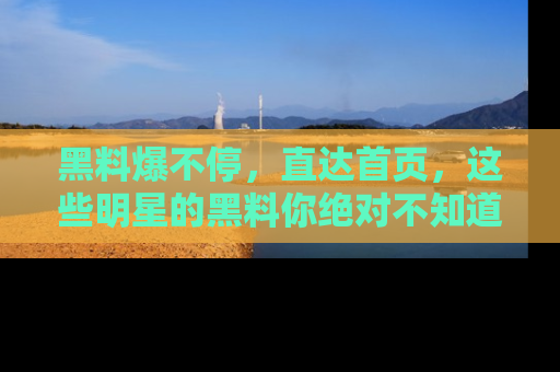 黑料爆不停，直达首页，这些明星的黑料你绝对不知道！