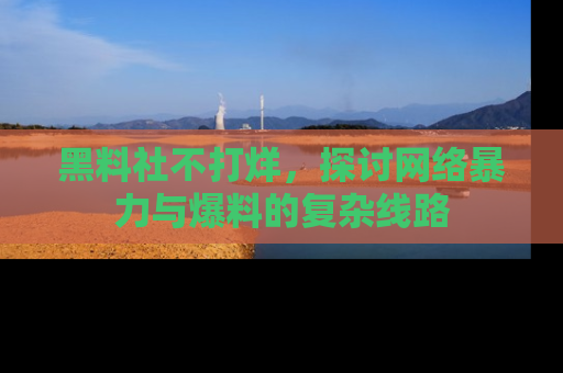 黑料社不打烊，探讨网络暴力与爆料的复杂线路