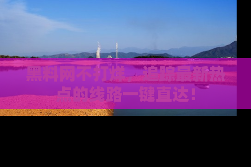 黑料网不打烊，追踪最新热点的线路一键直达！