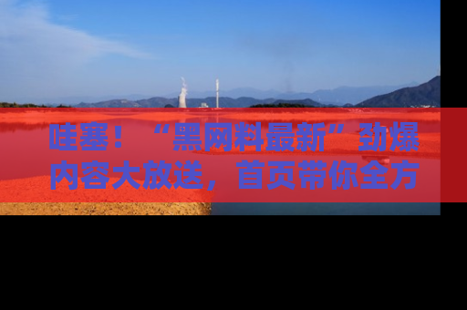 哇塞！“黑网料最新”劲爆内容大放送，首页带你全方位了解哦，小可爱们