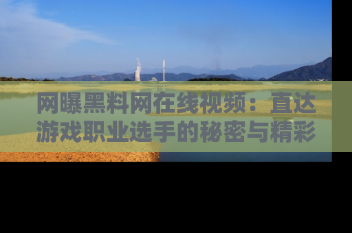 网曝黑料网在线视频：直达游戏职业选手的秘密与精彩动漫片段！