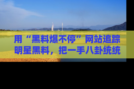 用“黑料爆不停”网站追踪明星黑料,把一手八卦统统收进你的后宫中!