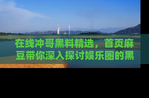 在线冲哥黑料精选，首页麻豆带你深入探讨娱乐圈的黑暗面