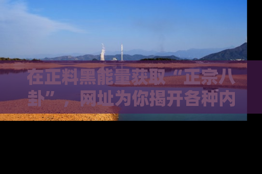 在正料黑能量获取“正宗八卦”，网址为你揭开各种内幕故事！