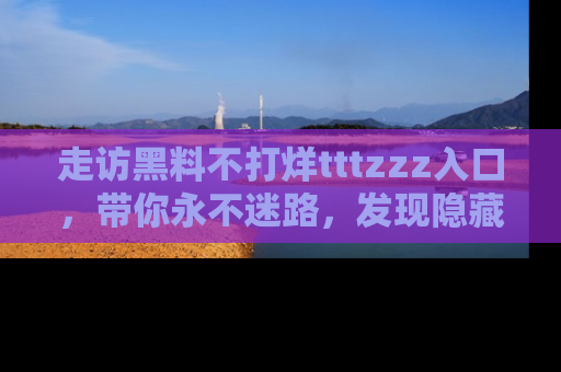 走访黑料不打烊tttzzz入口，带你永不迷路，发现隐藏的黑幕